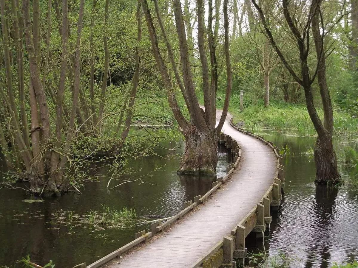 Bois de la Gîtes à Santes