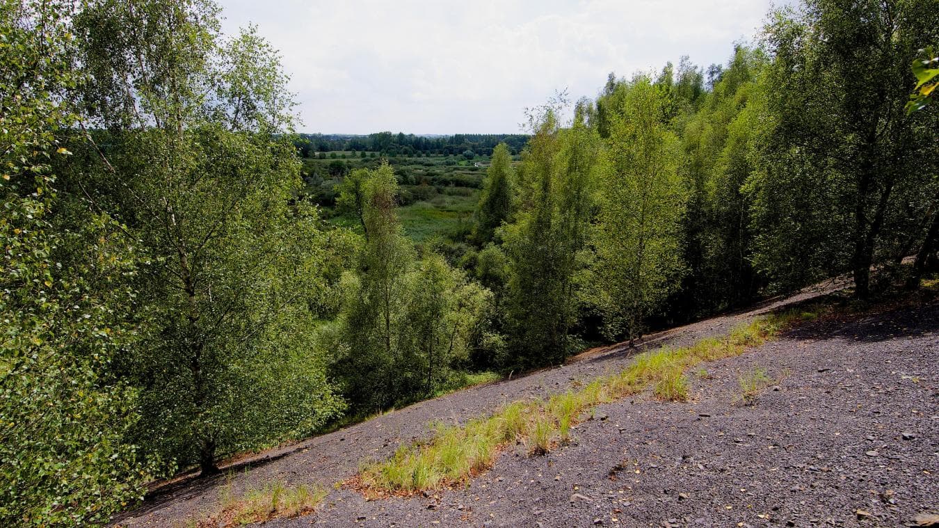 Terril de Germignies