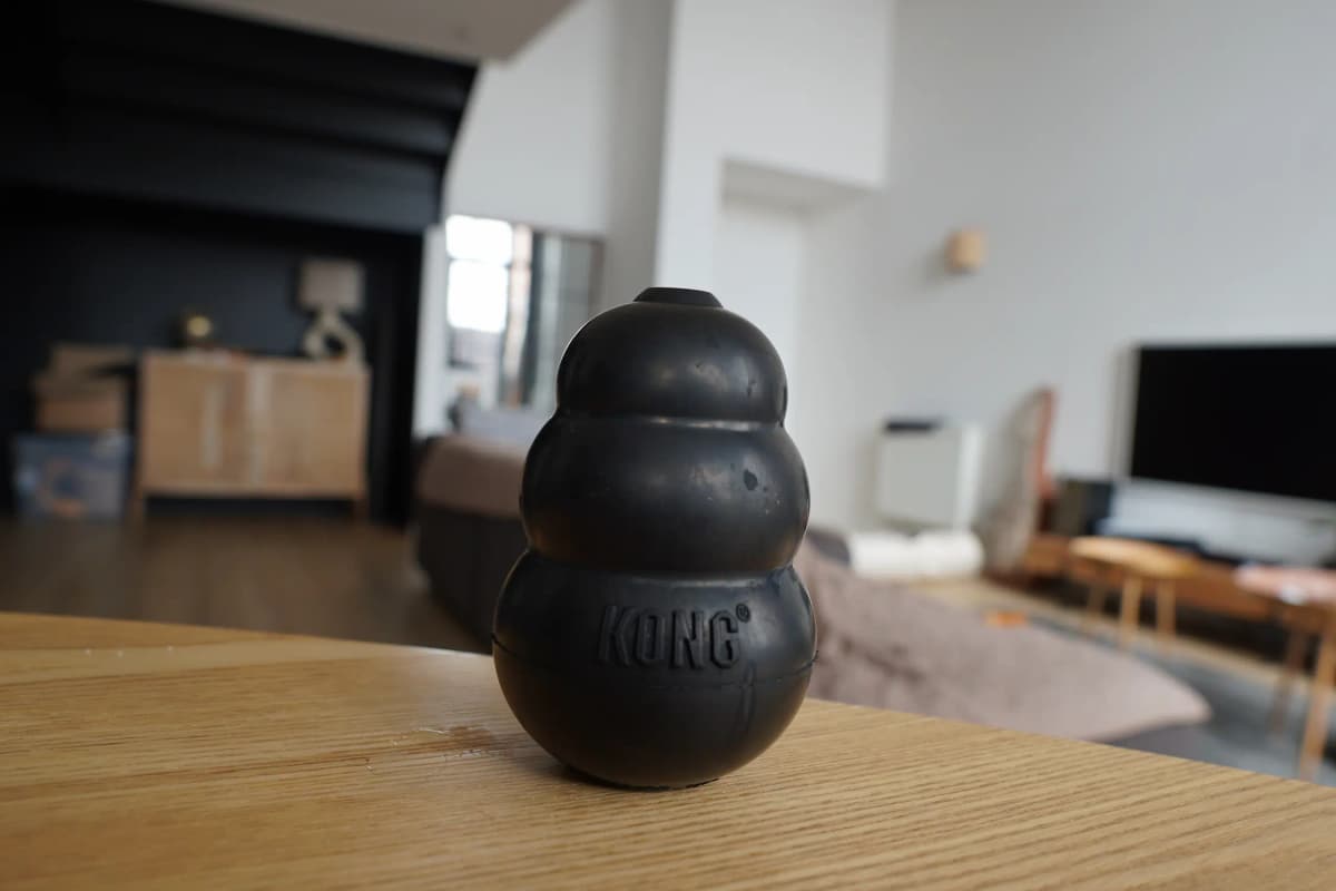 Kong à fourrer